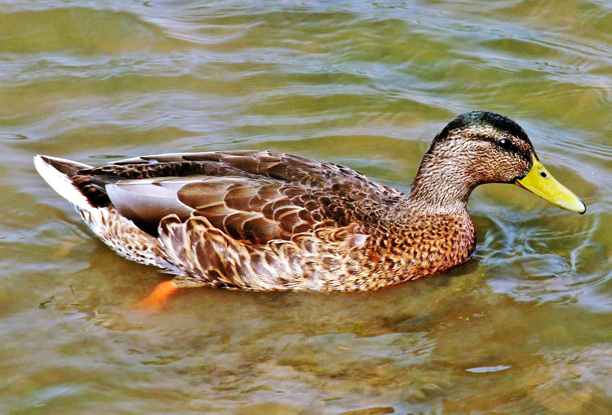 3rd. - Dave Robinson